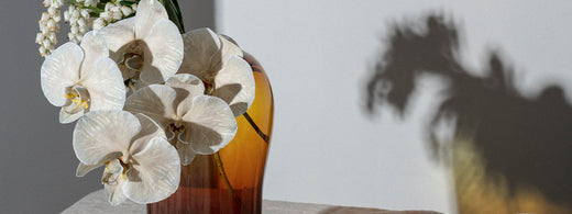 INTERVIEW | Nicolle Sullivan