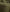 files/Forest-Fitted_95930f9a-2f88-4266-831e-8398a6b1c99a.jpg