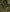 files/Forest-Flat_2ec4339b-f7f5-4ea8-aa32-94b89d05e03c.jpg