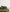 files/Forest-Pulled-Back_0b72b671-4e12-41c7-8335-33a506334095.jpg