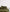 files/Forest-Pulled-Back_83ca0c2d-b1ee-4975-8968-d04a32082f4f.jpg