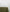 files/Forest-Tablelcoth.jpg