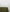 files/Forest-Tablelcoth_a3058fd0-1777-47e7-aab8-6a9cc65c7519.jpg