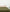 files/Quilted-Forest-01_3e952cb4-9ffc-4937-a2a3-3785e444ab96.jpg
