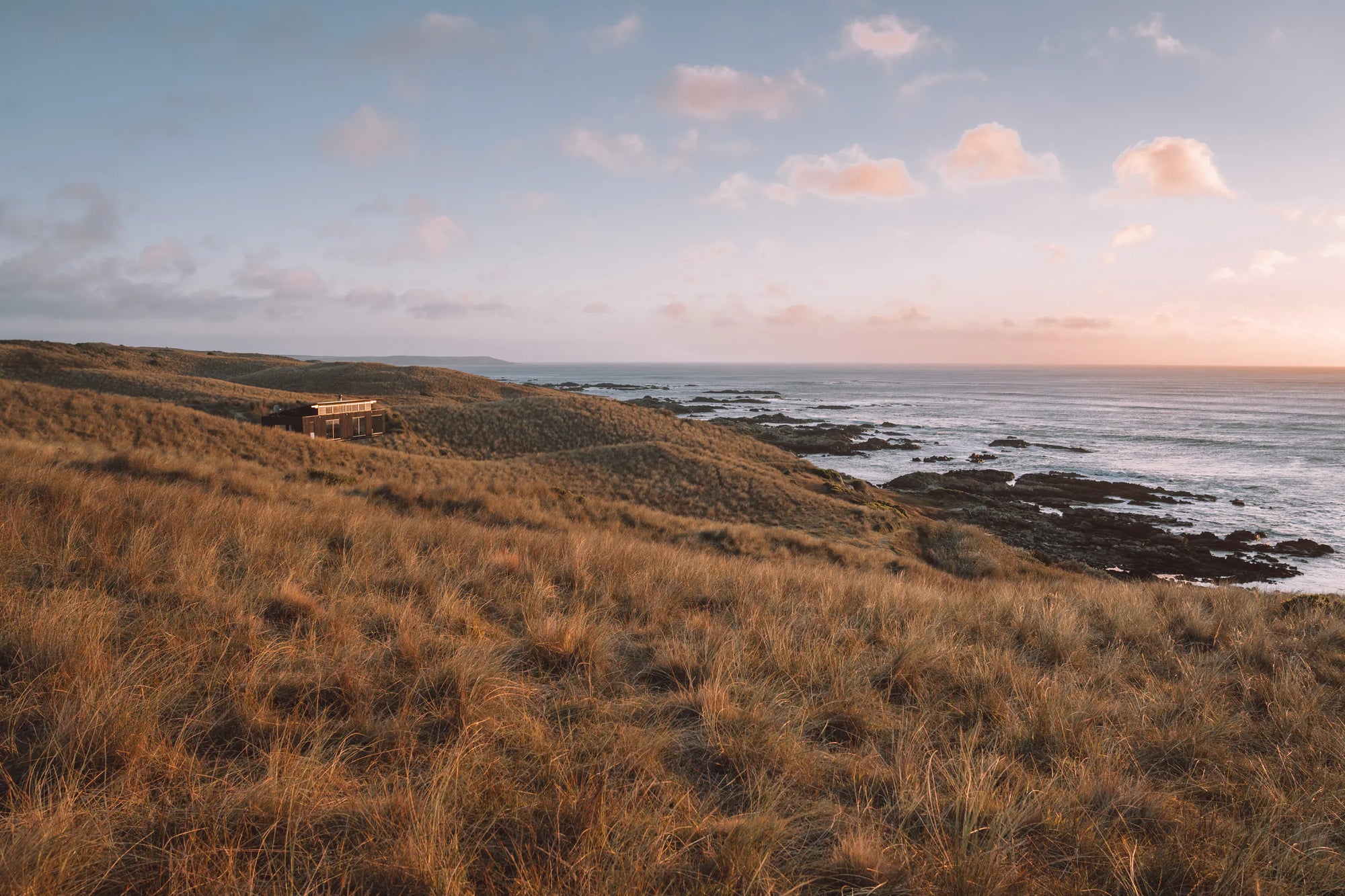 A scenic coastal landscape with golden-brown grassy hills in the foreground, rocky shoreline, ocean water, and a pale blue sky with soft pink clouds at sunset.