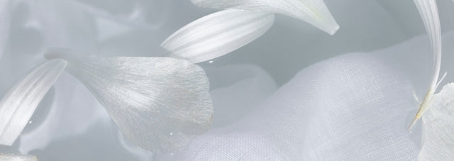A close up image of white linen and white petals floating in water.