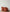 Set of 2 Linen Euro Pillowcases - Sienna
