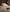 files/Silk-Flip-Ivory_f0defac5-9164-4fdd-ba29-e95f39c3c9ed.jpg