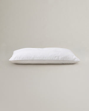 files/Silk-Pillow-Queen_828b9668-4e73-4617-ae29-0e992f29a7fc.jpg