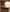 files/Talik-Chestnut-02.jpg