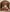 files/Talik-Chestnut-03_9b318e9a-b1e0-4efc-9237-3e3eb4a69b43.jpg