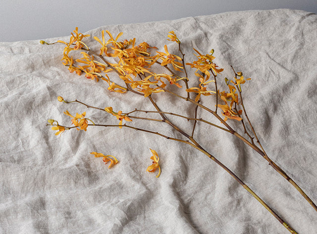 A few stems of yellow florals resting on a Linen Flat Sheet with Border in Smoke Grey..