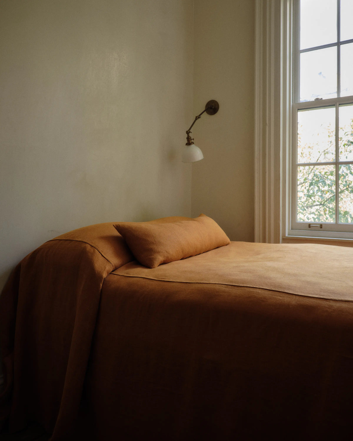 A bed dressed in warm rust-brown bedding and a matching pillow, placed in a softly lit room with a wall-mounted lamp and a window showing daylight and greenery outside.